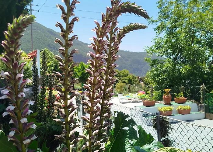 Casa Lola